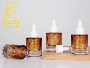 Top 10 Lọ Đựng Serum Giá Rẻ