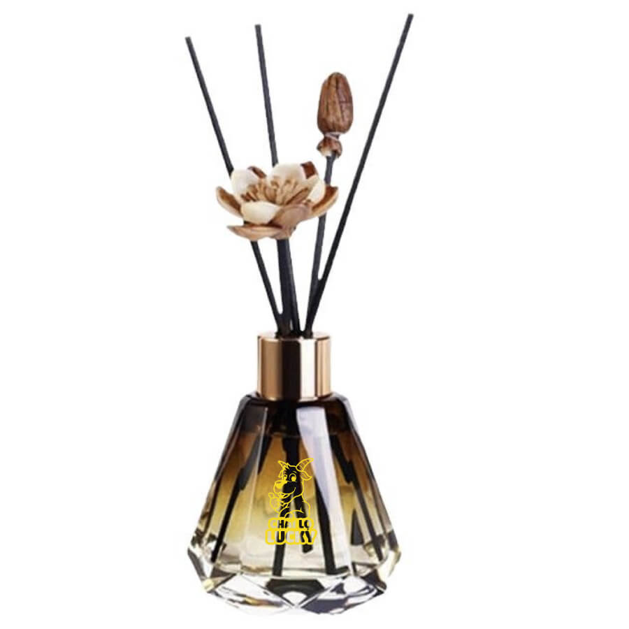 Vỏ Chai Tán Hương Tinh Dầu 100ml